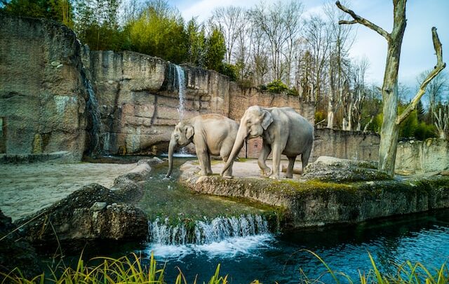 Dlaczego warto odwiedzić Zoo Kraków 5 (1)